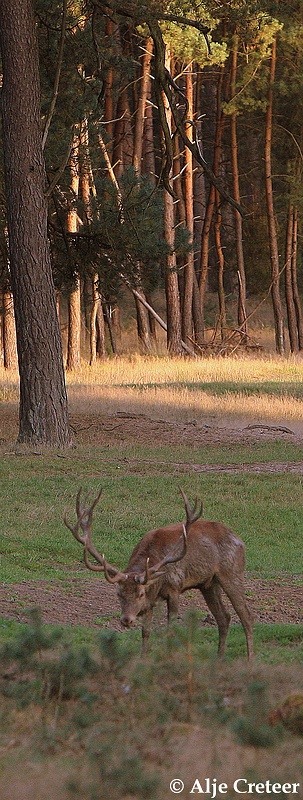 werelddierendag 200915.JPG