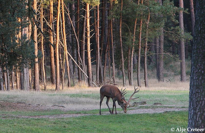 werelddierendag 200917.JPG