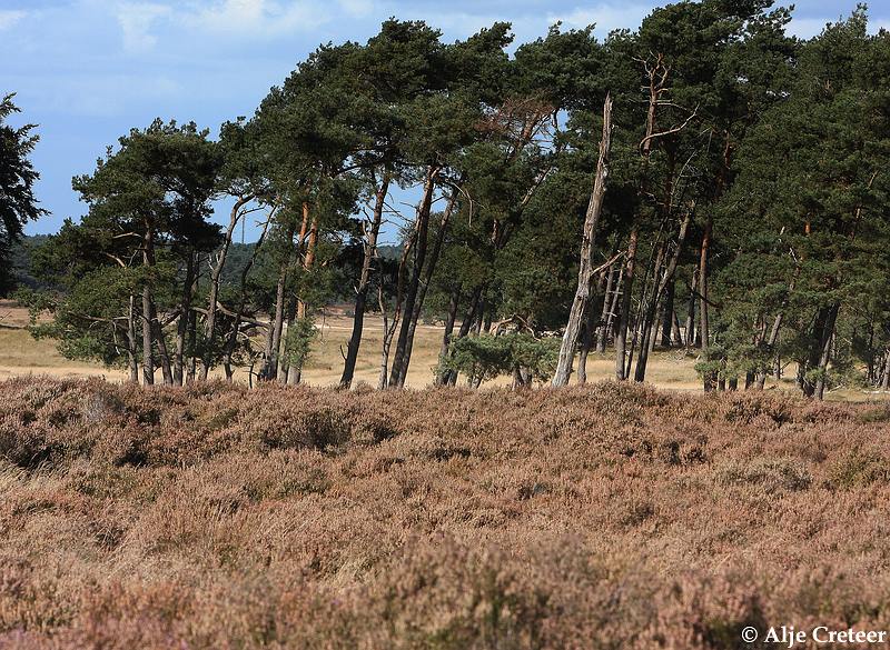 werelddierendag 20092.JPG