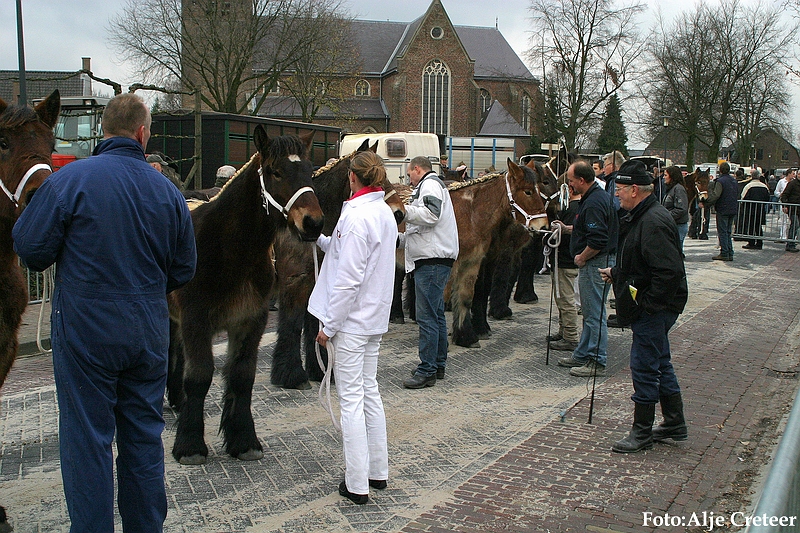 Gerwen veulenkeuring15.JPG