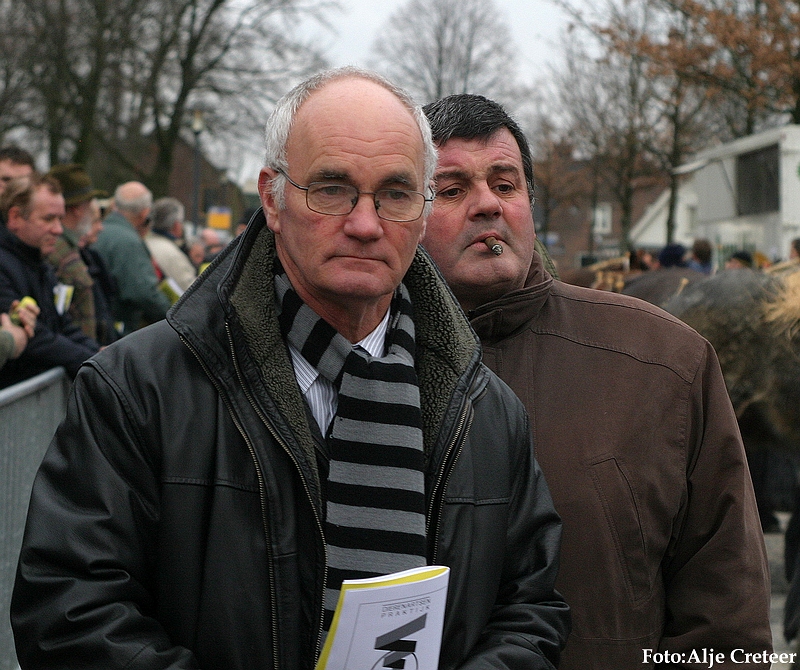 Gerwen veulenkeuring19.JPG