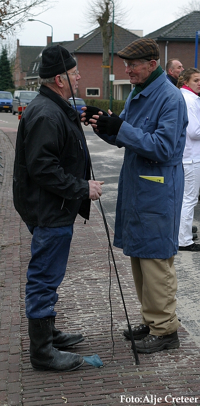Gerwen veulenkeuring24.JPG