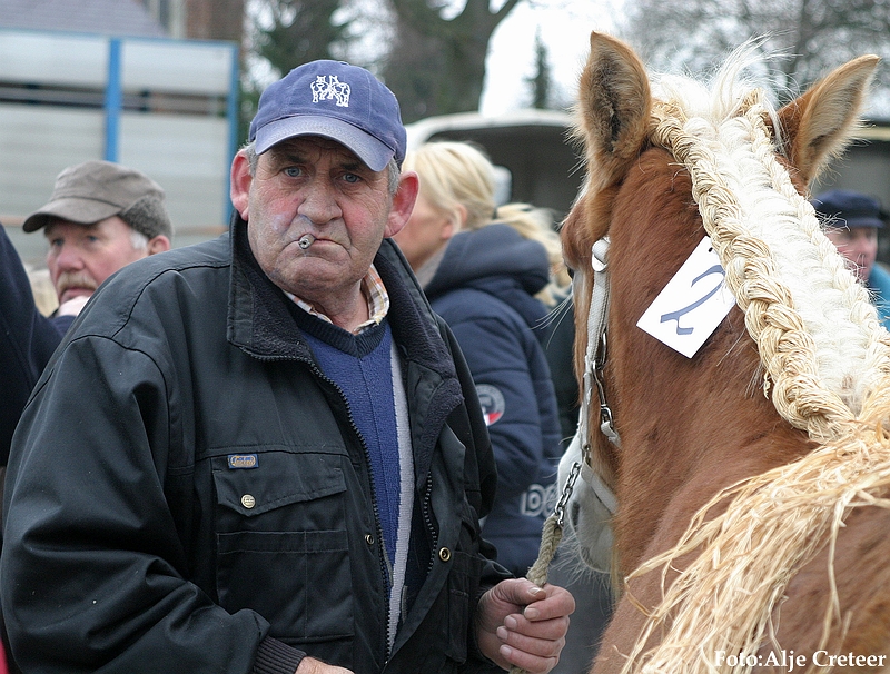 Gerwen veulenkeuring76.JPG