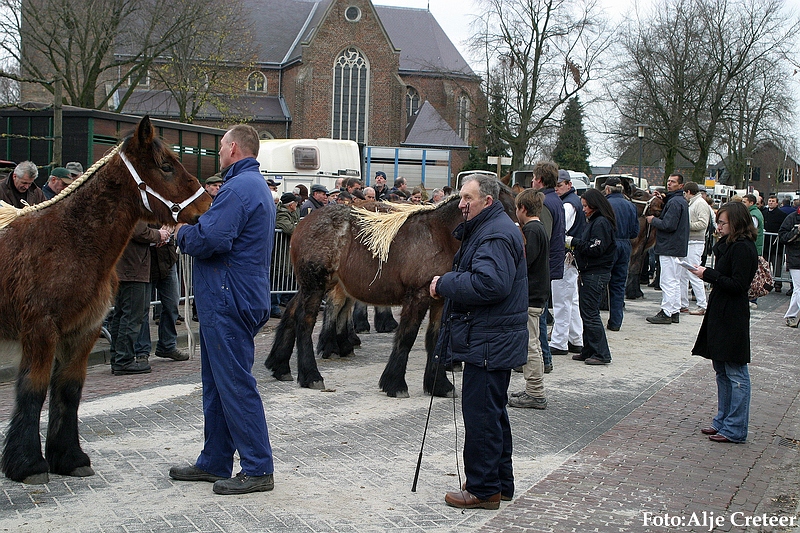 Gerwen veulenkeuring77.JPG