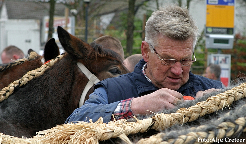 Gerwen veulenkeuring81.JPG