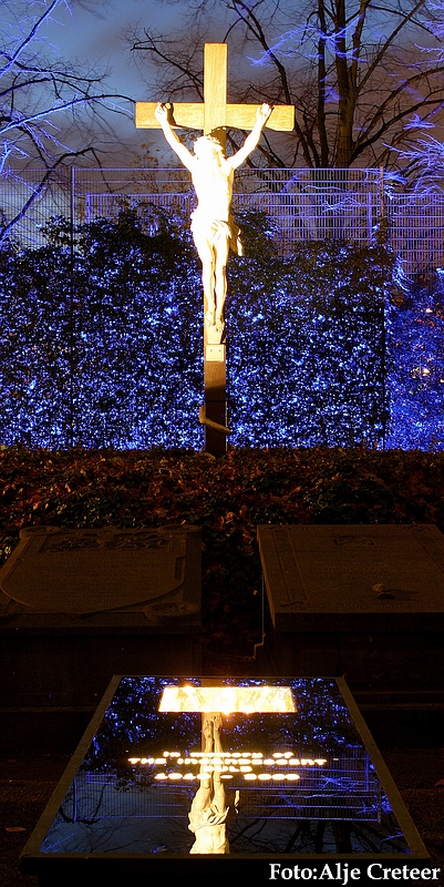 Glow 200963.JPG