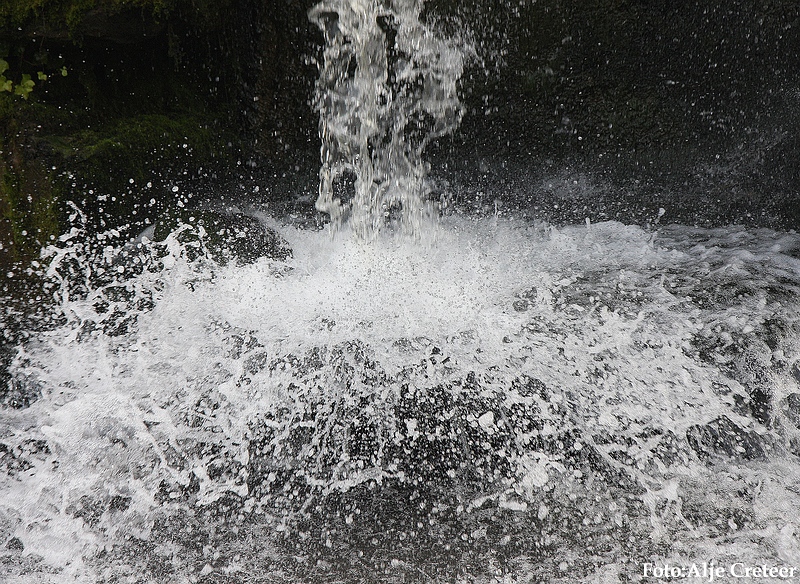 Herfst 2009.2.JPG