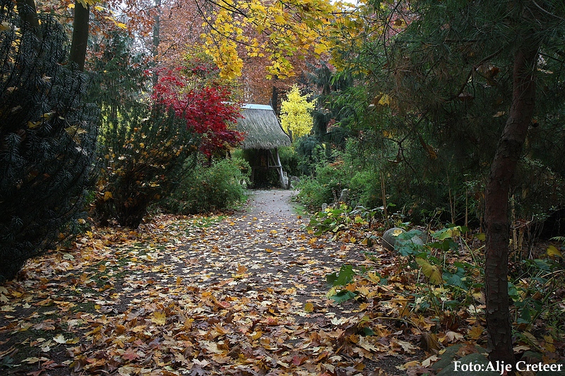 Herfst 2009.46.JPG