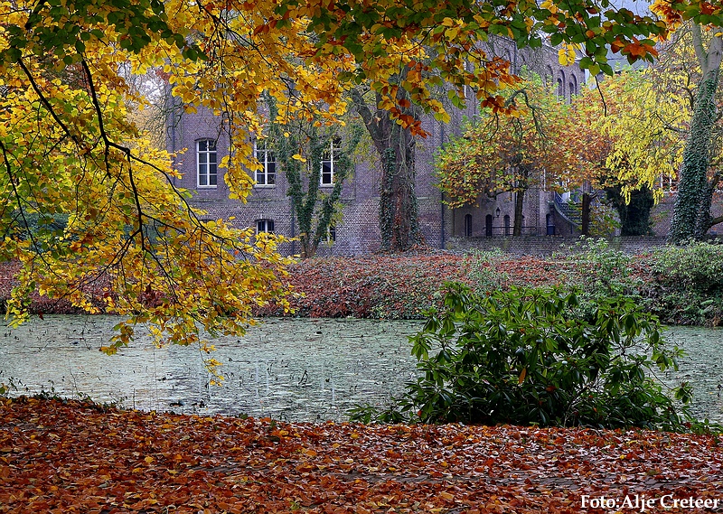 Herfst 2009.5.JPG