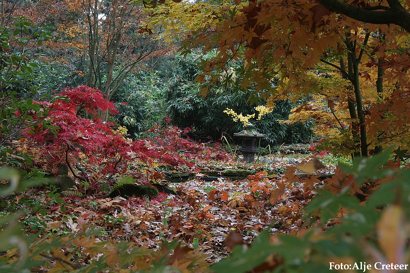 Herfst 2009.53.JPG
