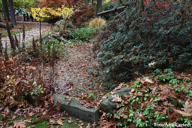 Herfst 2009.59.JPG