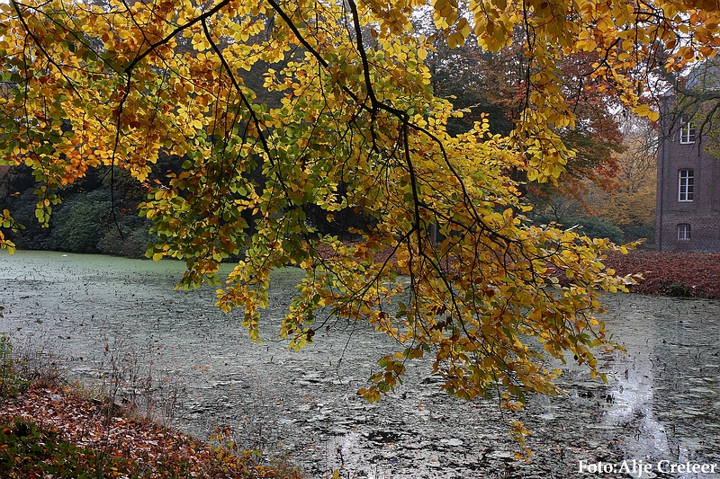 Herfst 2009.6.JPG