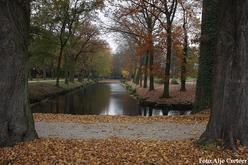Herfst 2009.64.JPG