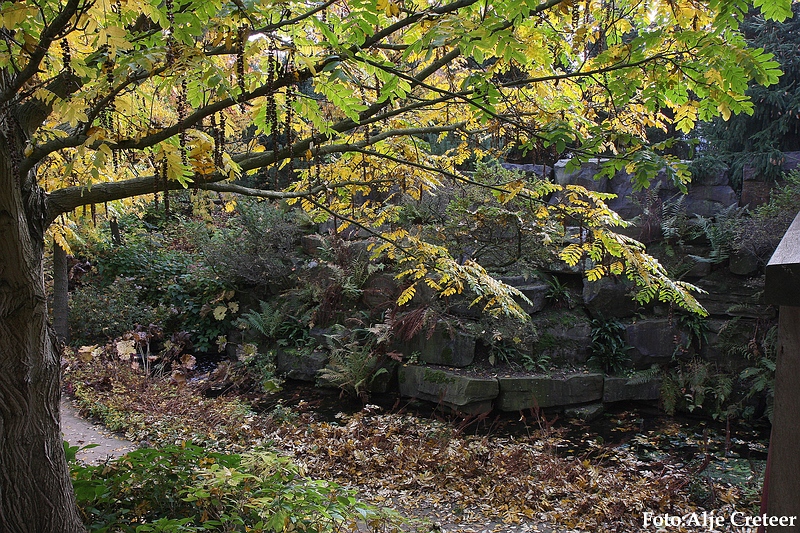 Herfst 2009.66.JPG