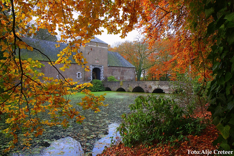 Herfst 2009.7.JPG