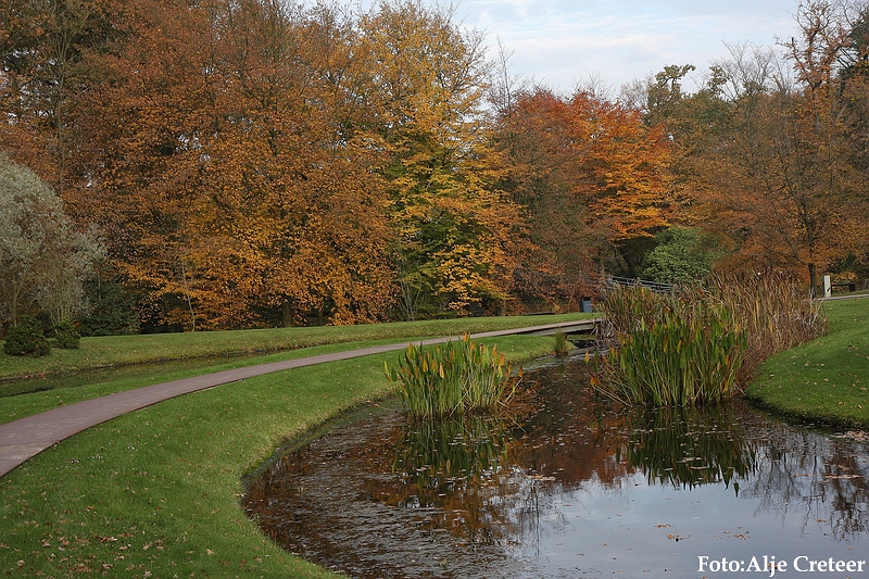 Herfst 2009.78.JPG