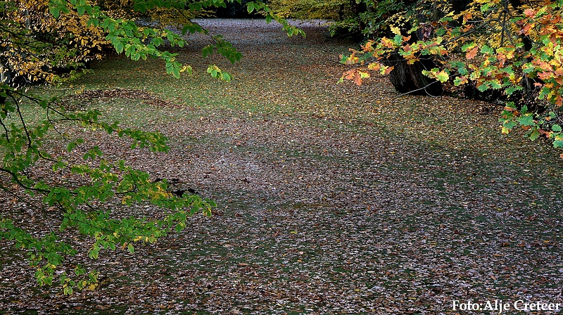Herfst 2009.86.JPG
