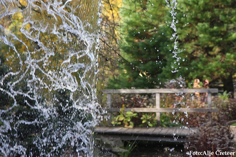 Herfst 2009.90.JPG