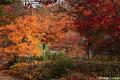 Herfst 2009.14