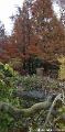 Herfst 2009.39