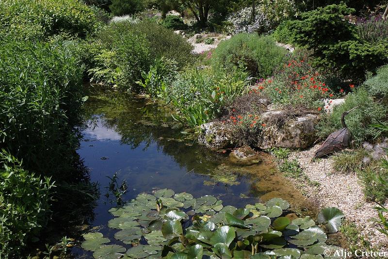 jardins clos du coudray12.JPG