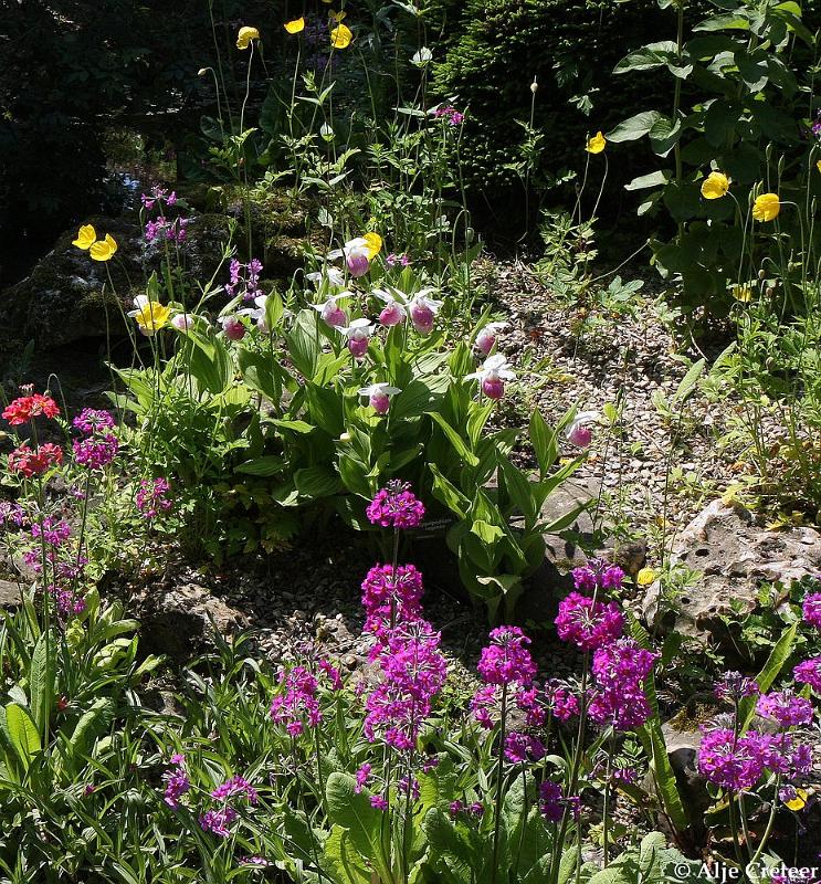 jardins clos du coudray14.JPG