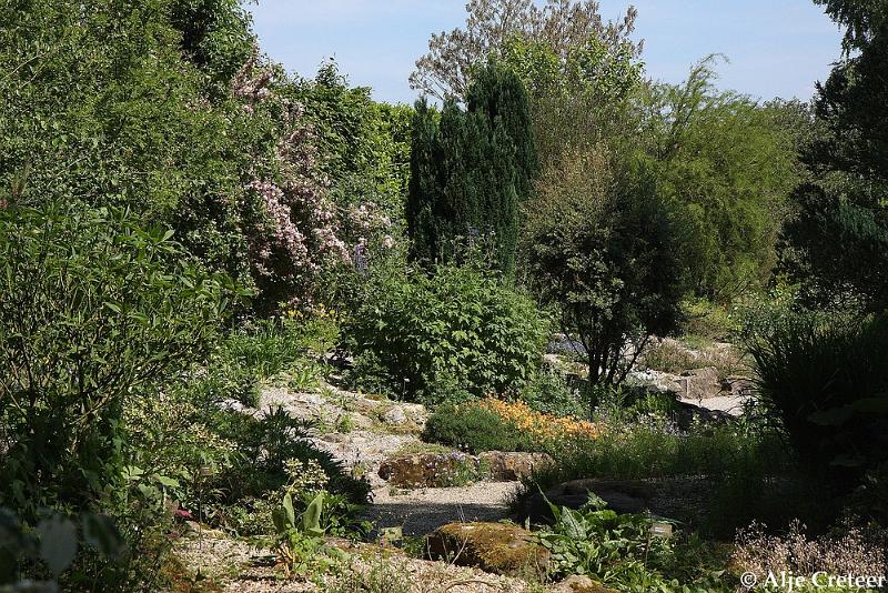 jardins clos du coudray4.JPG