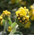 jardins clos du coudray22