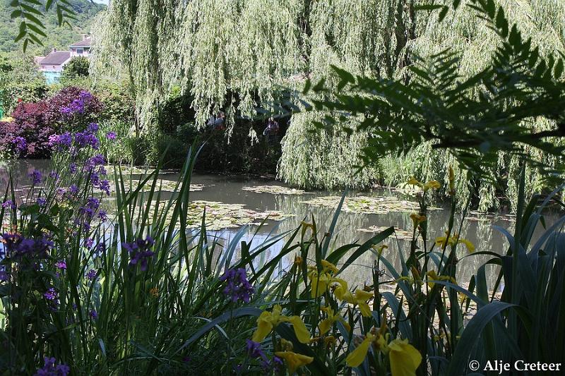 Jardins de Claude Monet10.JPG