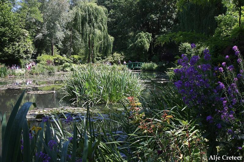 Jardins de Claude Monet11.JPG