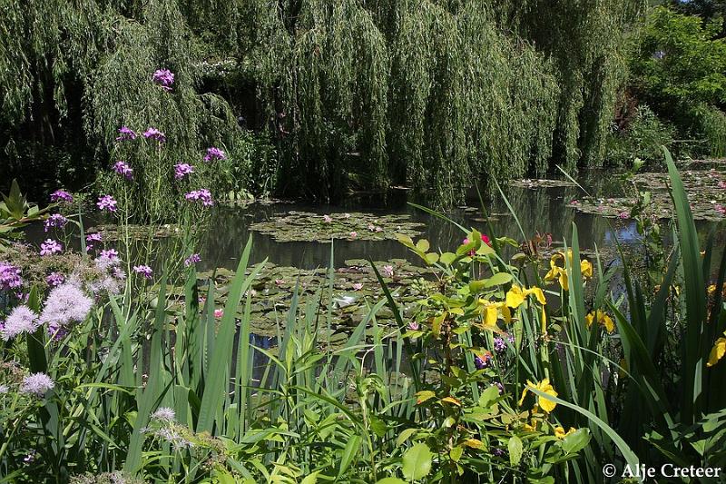 Jardins de Claude Monet12.JPG