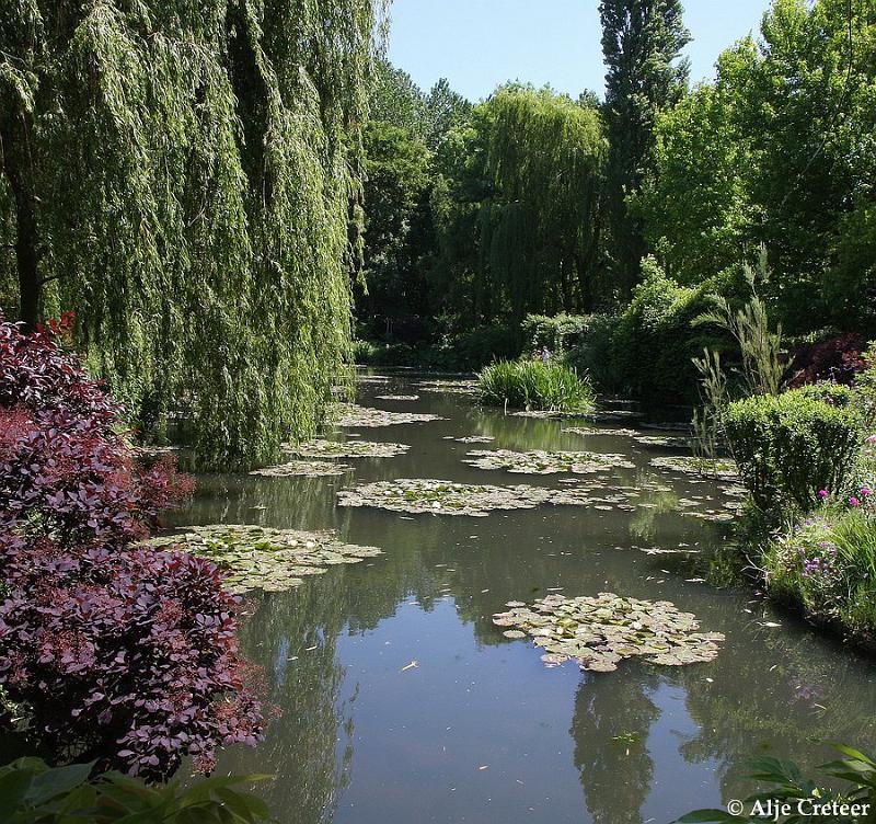 Jardins de Claude Monet14.JPG