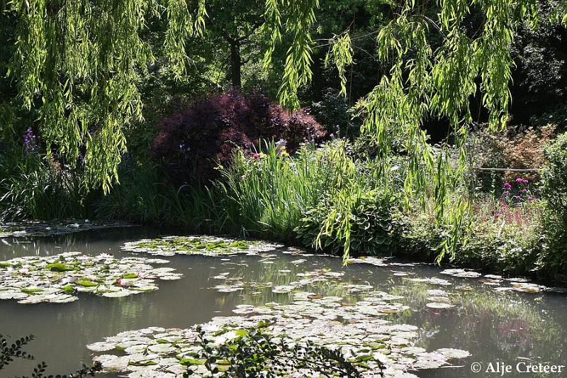 Jardins de Claude Monet15.JPG