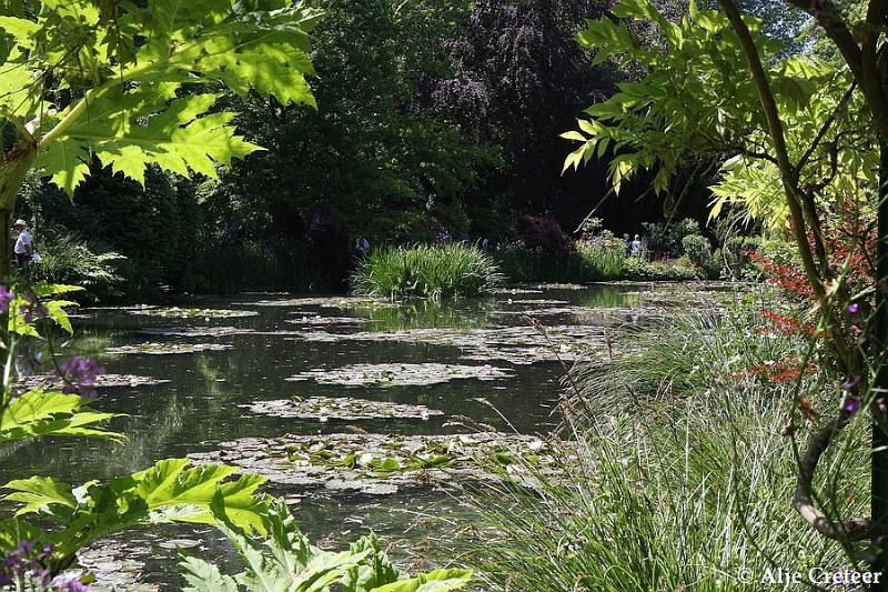Jardins de Claude Monet17.JPG