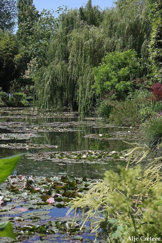 Jardins de Claude Monet19.JPG