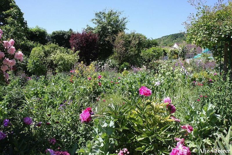 Jardins de Claude Monet20.JPG