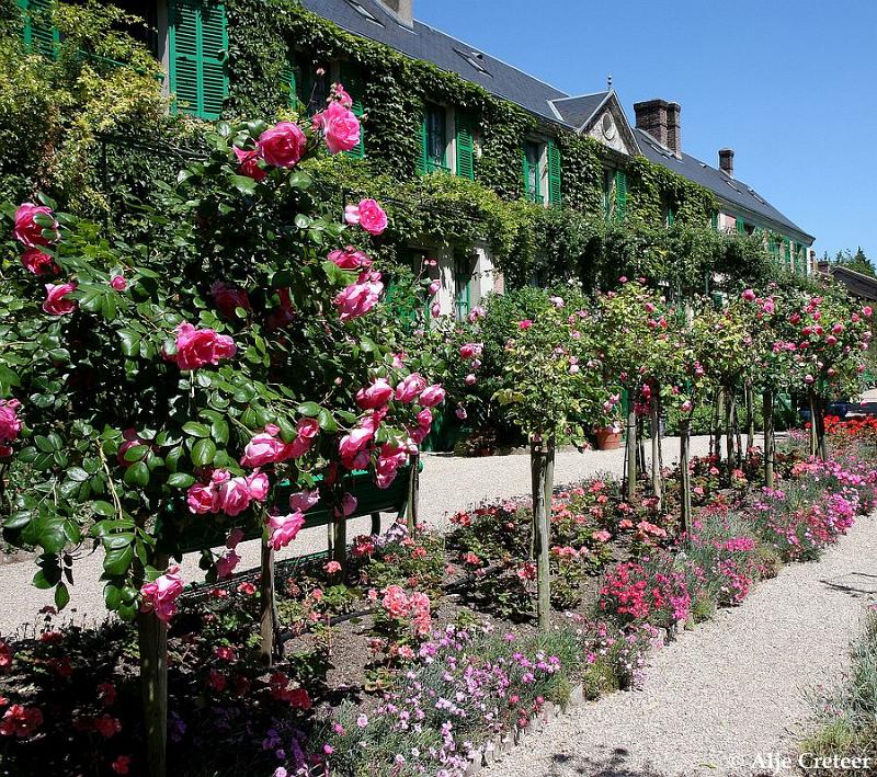 Jardins de Claude Monet24.JPG