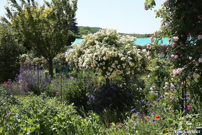 Jardins de Claude Monet25.JPG