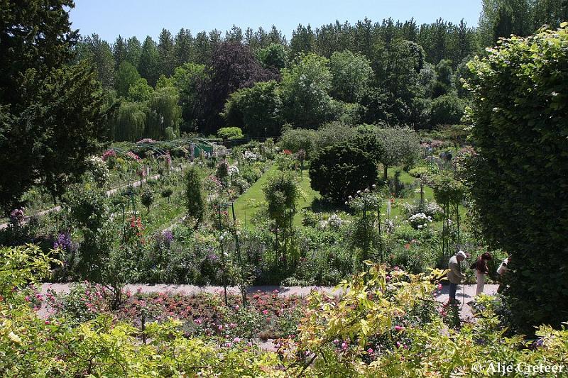 Jardins de Claude Monet27.JPG