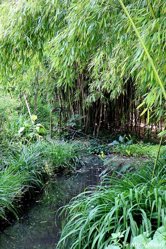 Jardins de Claude Monet3.JPG
