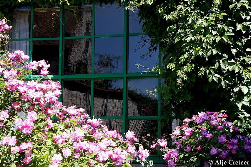 Jardins de Claude Monet30.JPG