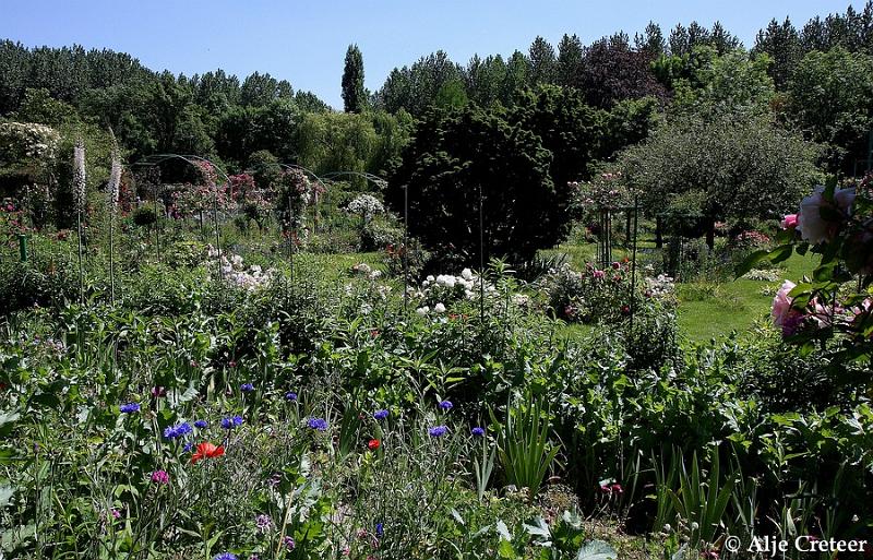 Jardins de Claude Monet31.JPG