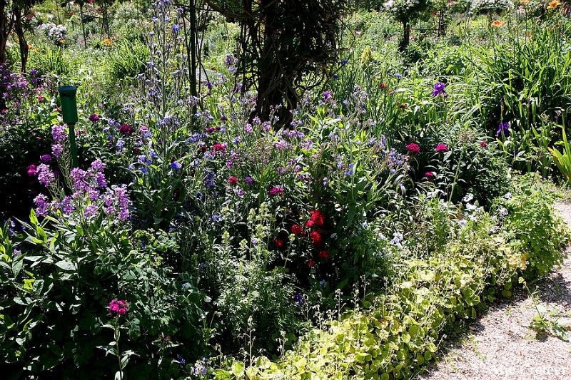 Jardins de Claude Monet33.JPG
