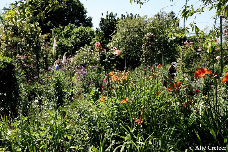 Jardins de Claude Monet34.JPG