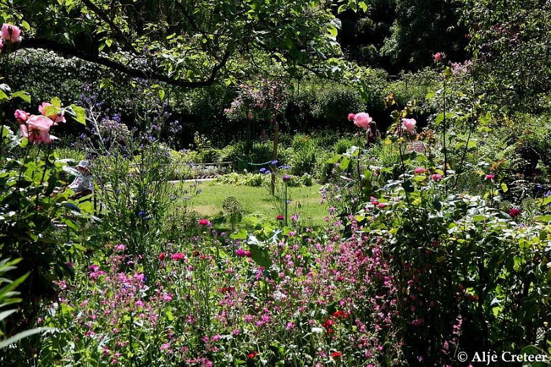 Jardins de Claude Monet36.JPG