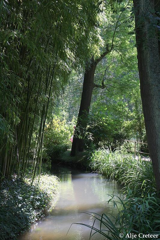 Jardins de Claude Monet5.JPG