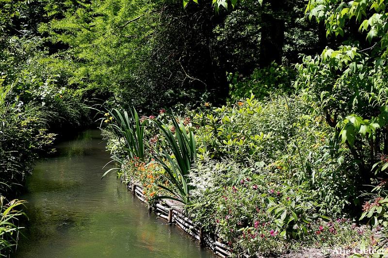 Jardins de Claude Monet7.JPG
