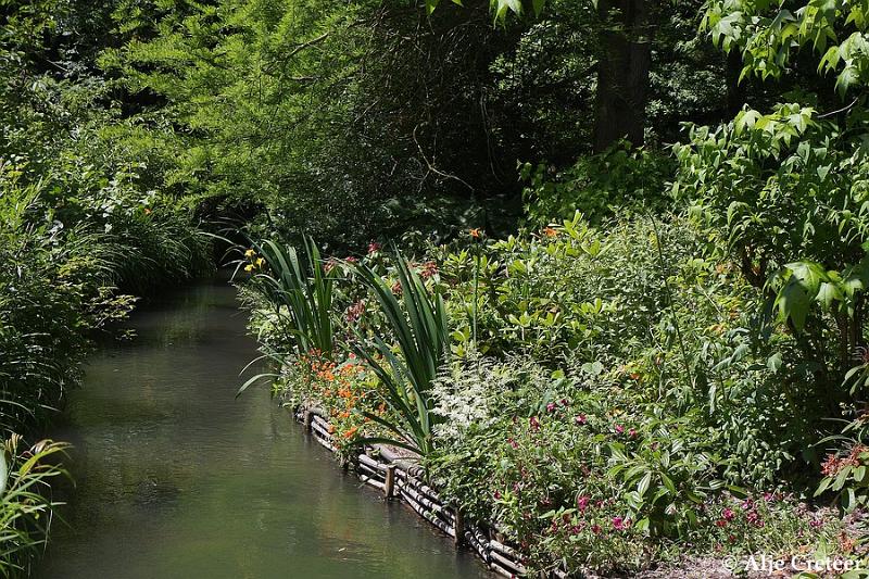 Jardins de Claude Monet8.JPG