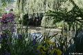 Jardins de Claude Monet10