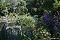 Jardins de Claude Monet11